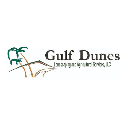 Gulf Dunes-01